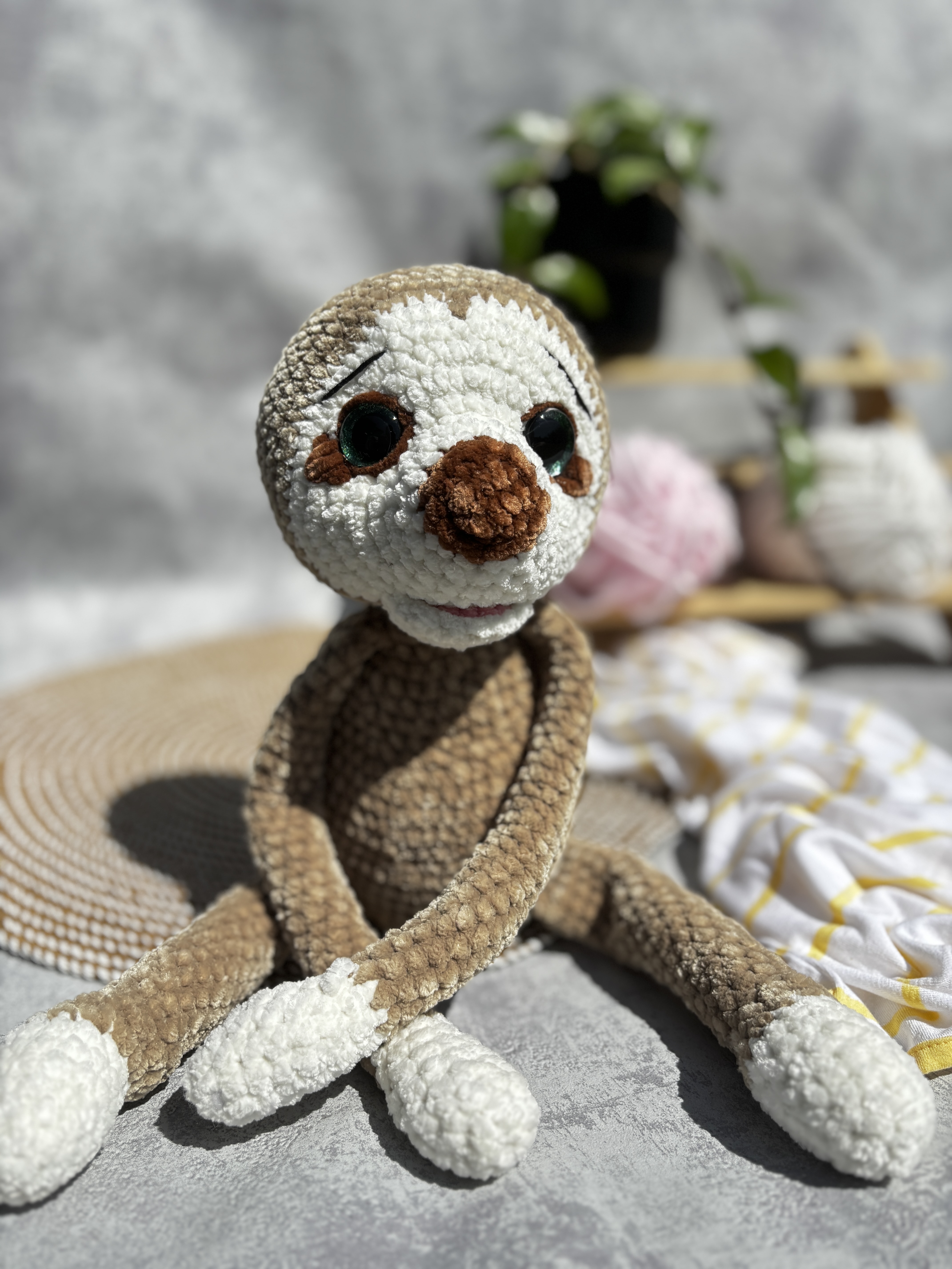 Háčkovaný Lenochod